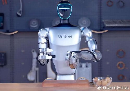 人形機器人廠商迎來精打細算時代 在科技變革中求生存與發(fā)展