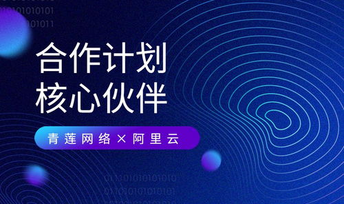 青蓮網(wǎng)絡(luò) 攜手阿里云，共建云原生及MSP合作新生態(tài)