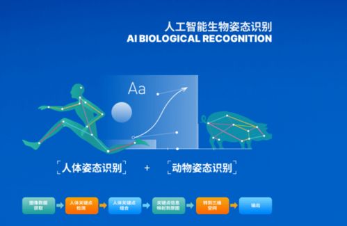 智博會(huì)第二日聚焦 網(wǎng)絡(luò)技術(shù)服務(wù)亮點(diǎn)全解析
